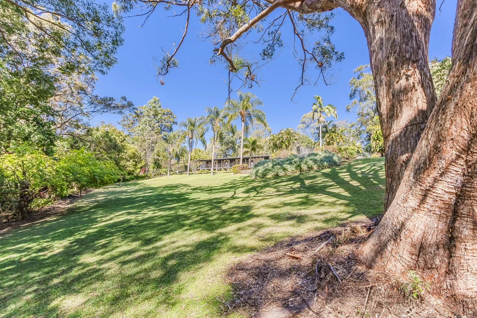 Additional image 41 of 30 Tanglewood Drive, Tanglewood NSW 2488