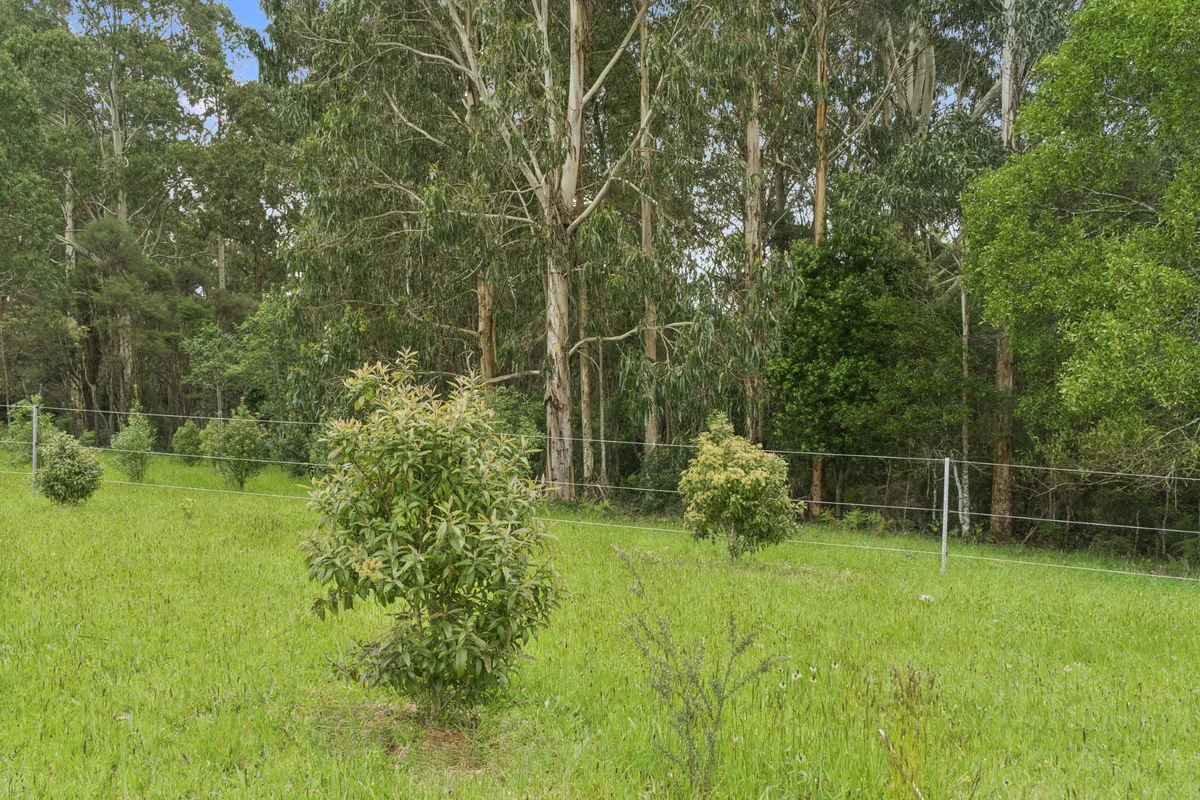 Additional image 15 of 640 Forrest-Apollo Bay Road, Barramunga VIC 3249