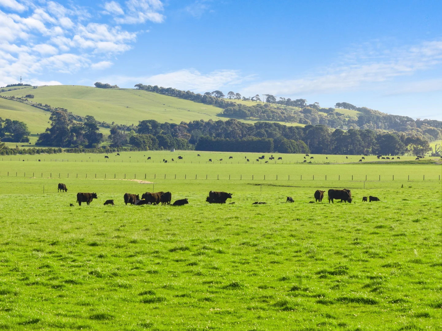 Additional image 3 of 280 Woolamai Road, Bass VIC 3991