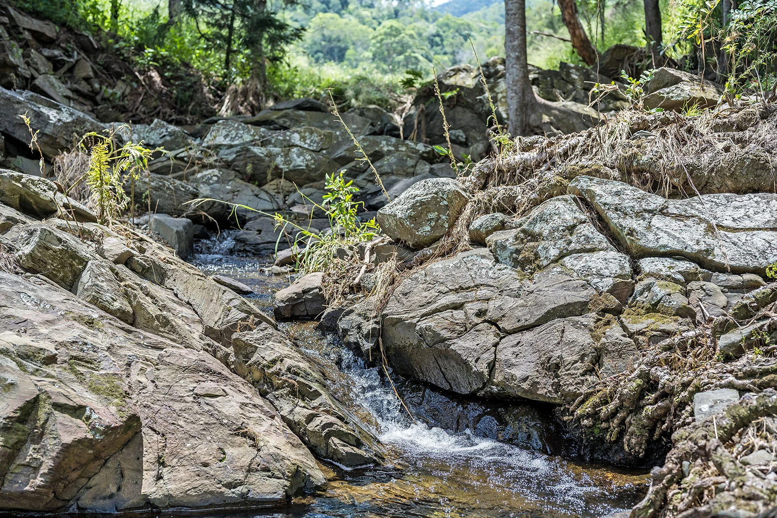 Additional image 16 of Bond Road, King Scrub QLD 4521