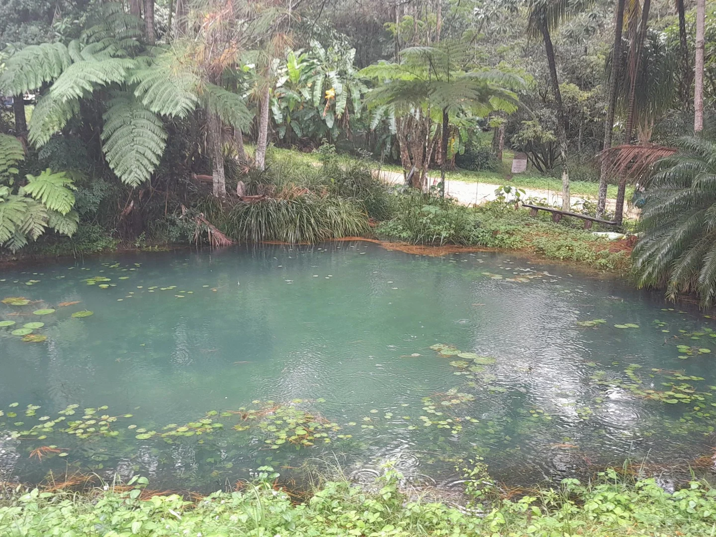 Additional image 33 of 829 The Pocket Rd, The Pocket NSW 2483