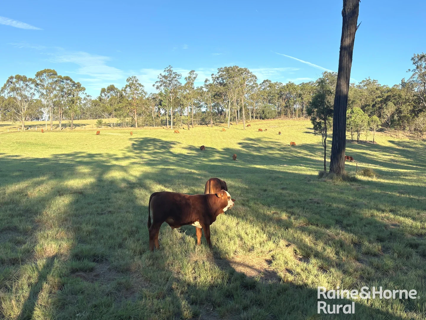 Additional image 40 of 72 Shailers Road, Wooroolin QLD 4608