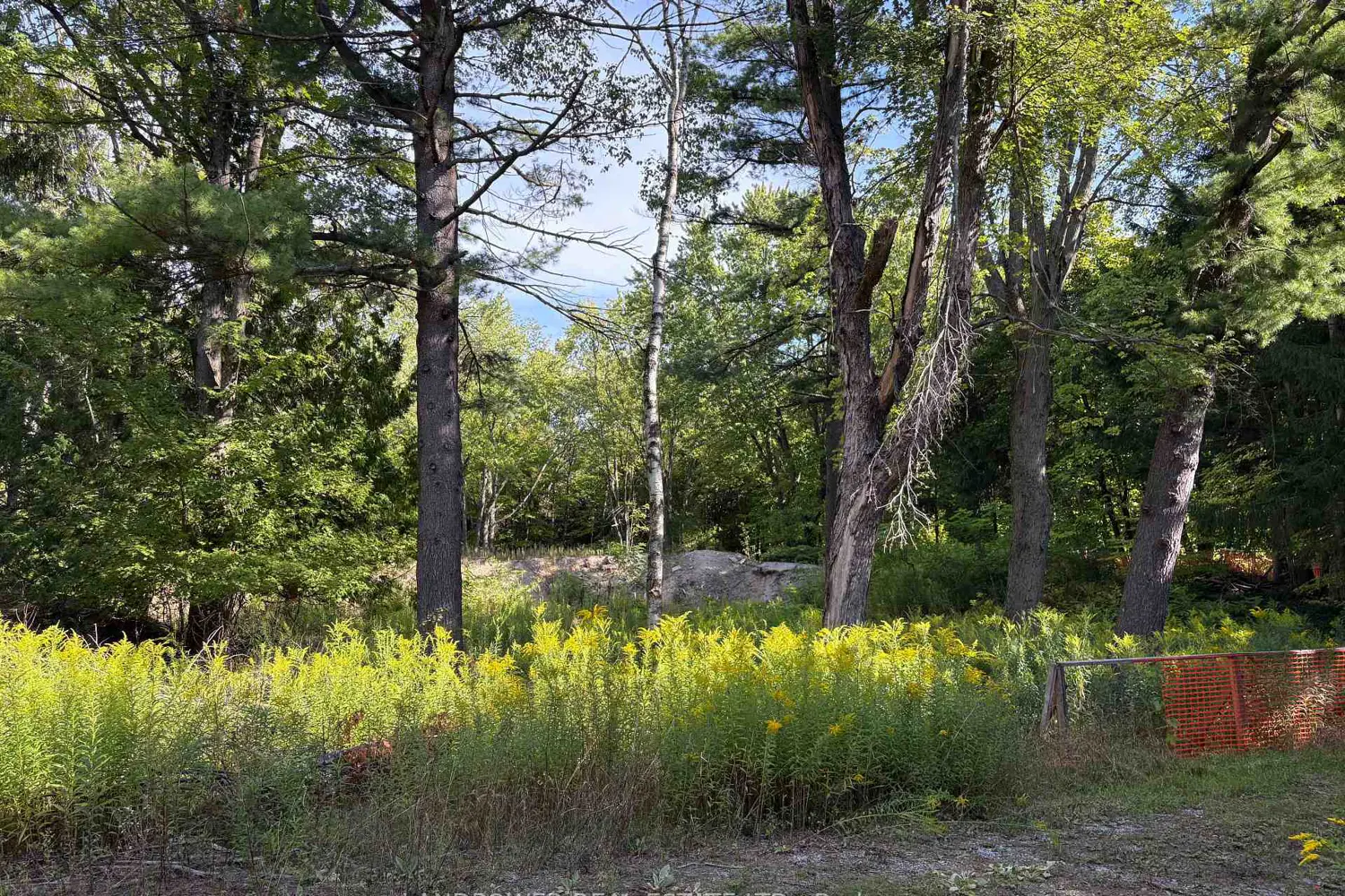 Additional image 6 of 4035 Aurora Road