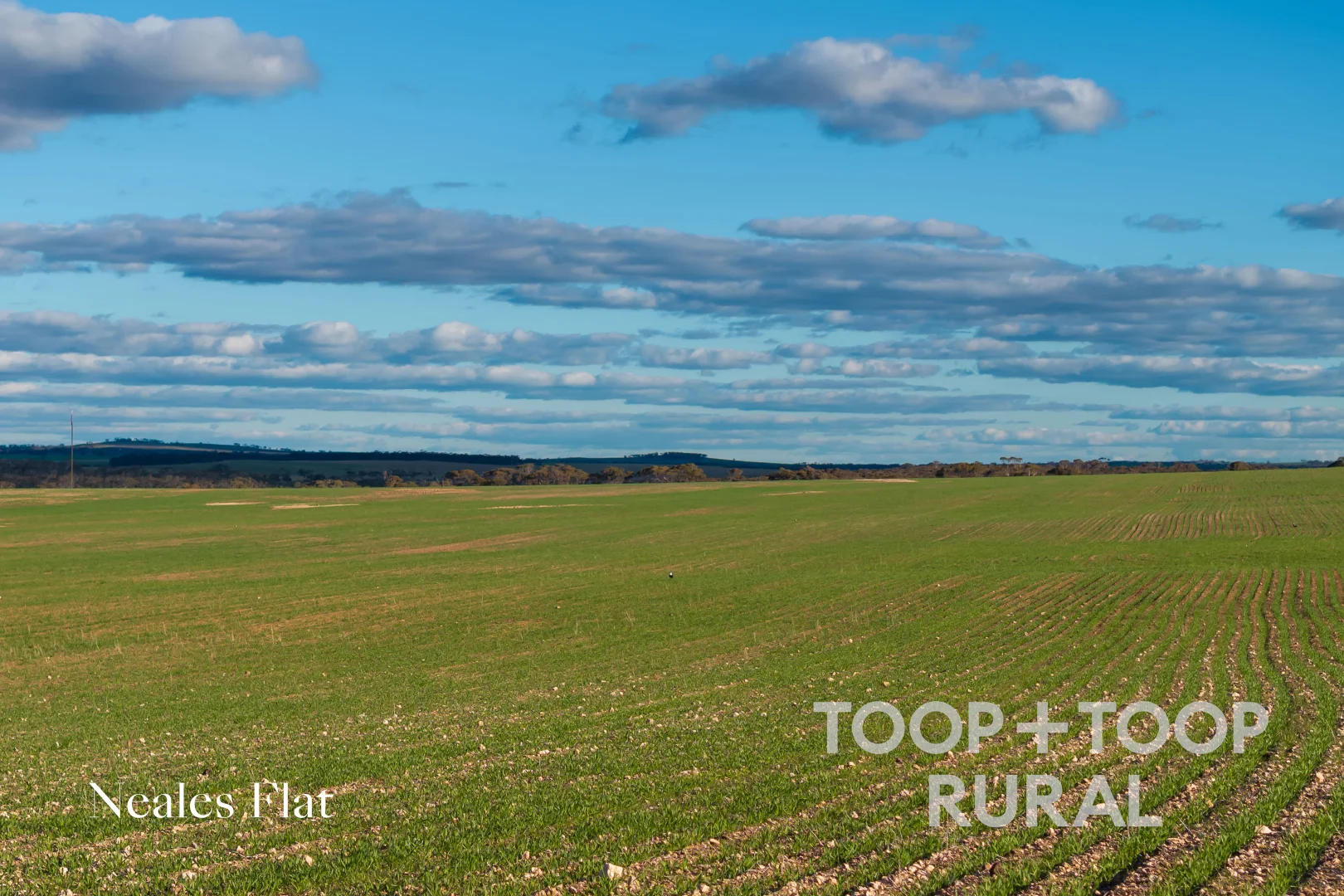 Additional image 6 of 332 Angle Road, Brownlow SA 5374