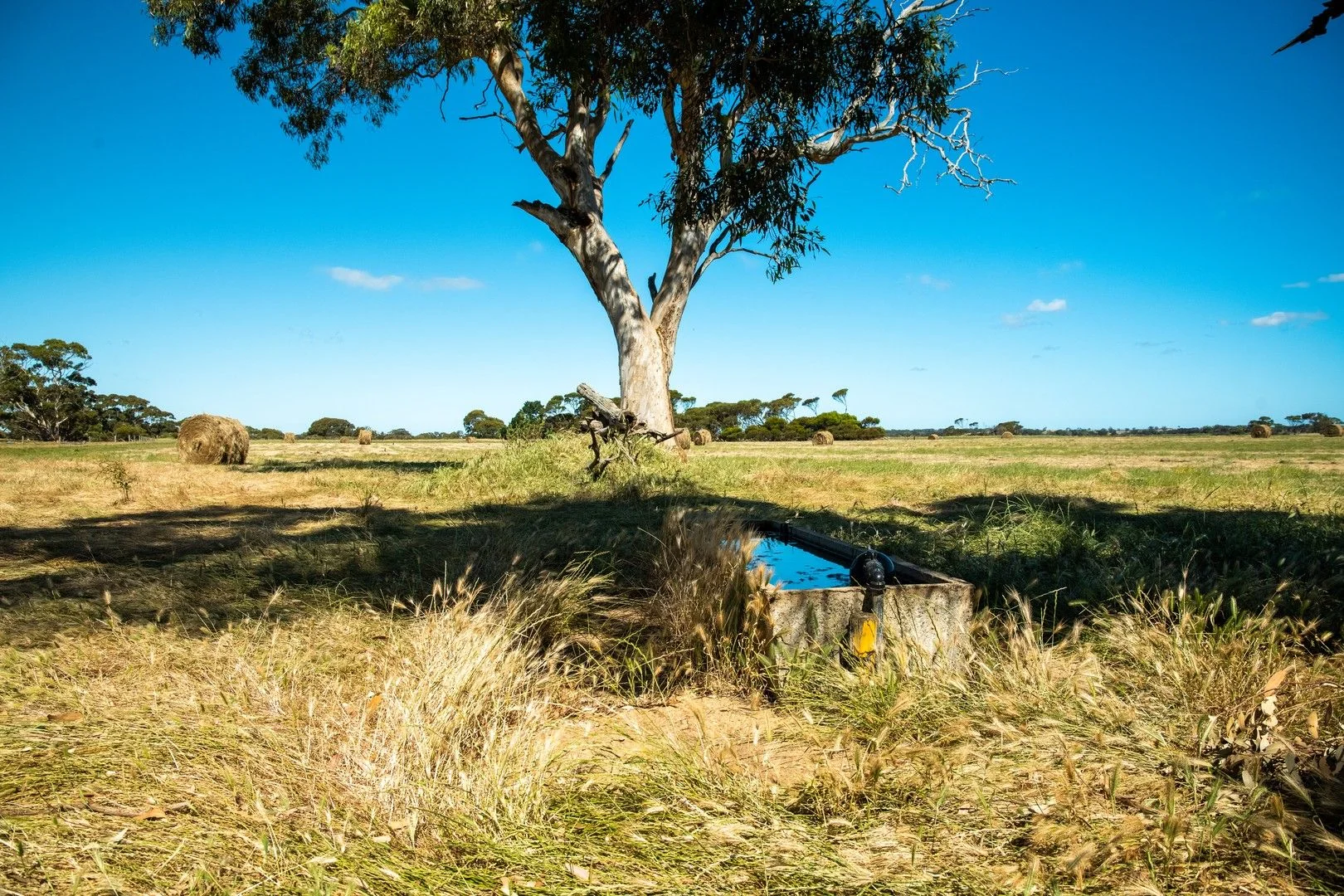 Additional image 18 of Lot 101 Schaefer Road, Seddon SA 5223