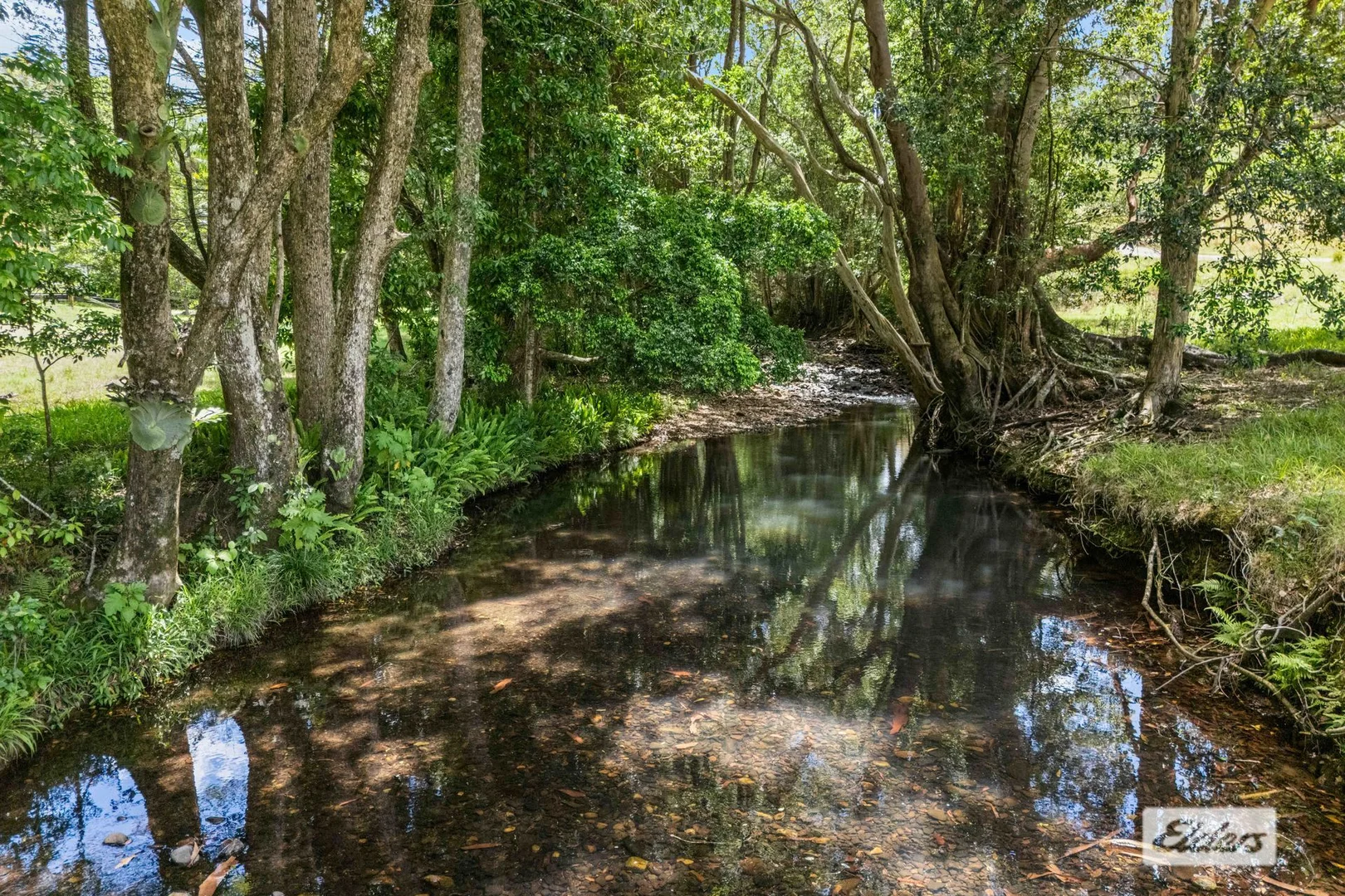 Additional image 17 of 1984 Numinbah Road, Numinbah NSW 2484