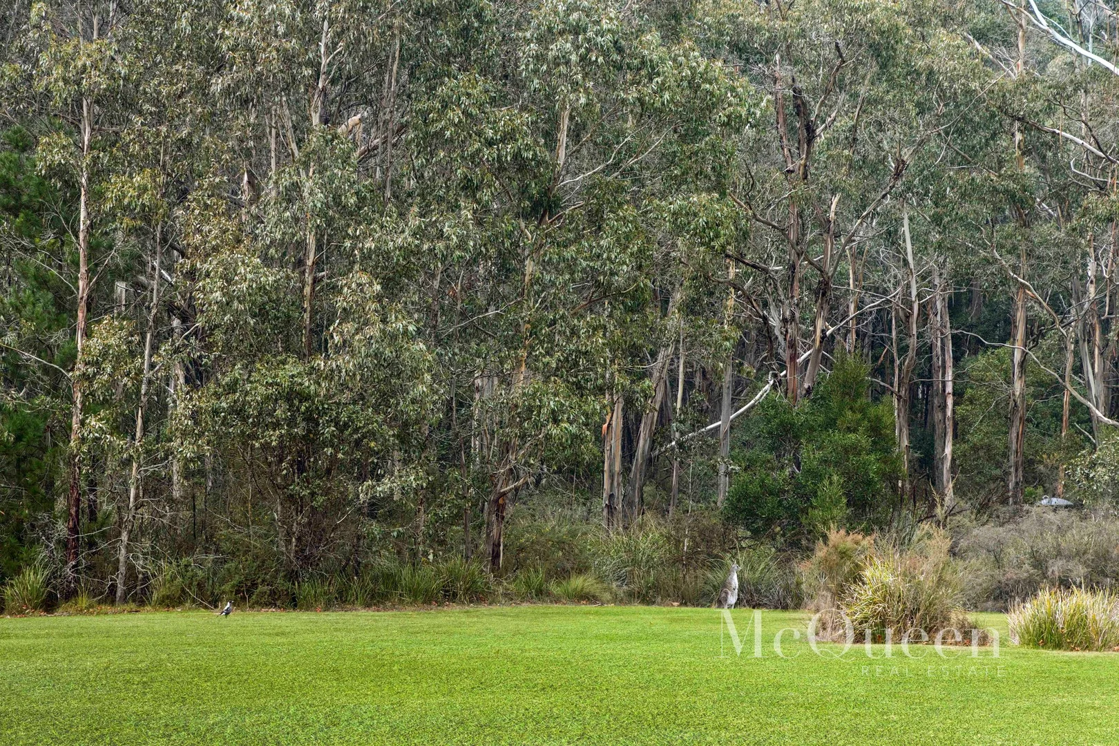 Additional image 23 of 9 Coliban Drive, Lyonville VIC 3461