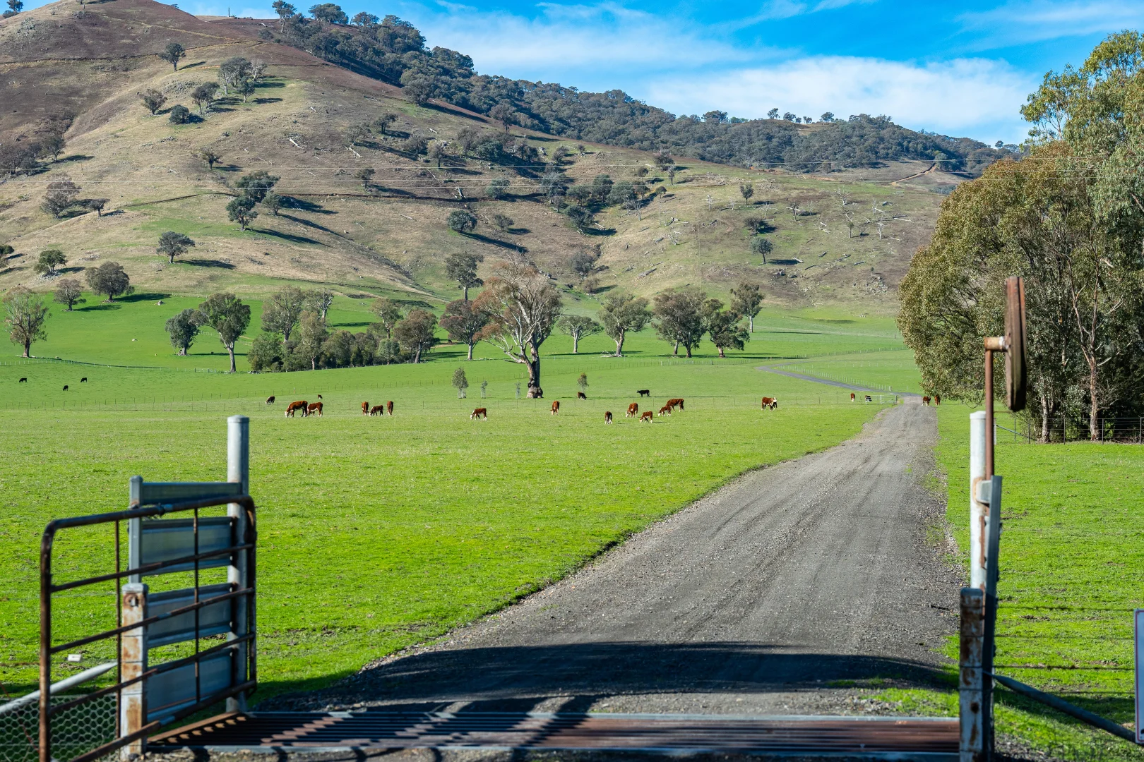 Additional image 36 of 3972 Murray River Road, Bungil VIC 3691