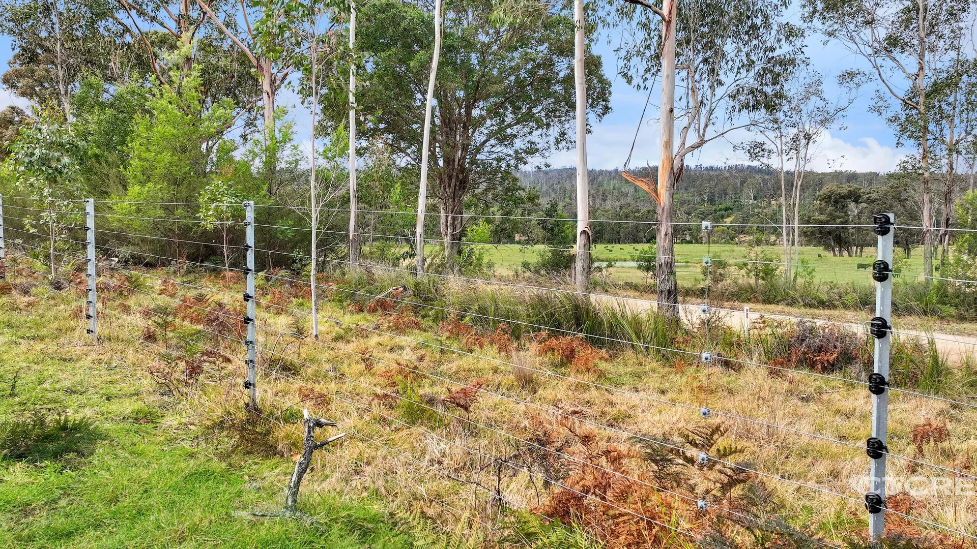 Additional image 19 of 1664 Wangarabell Road, Wangarabell VIC 3891