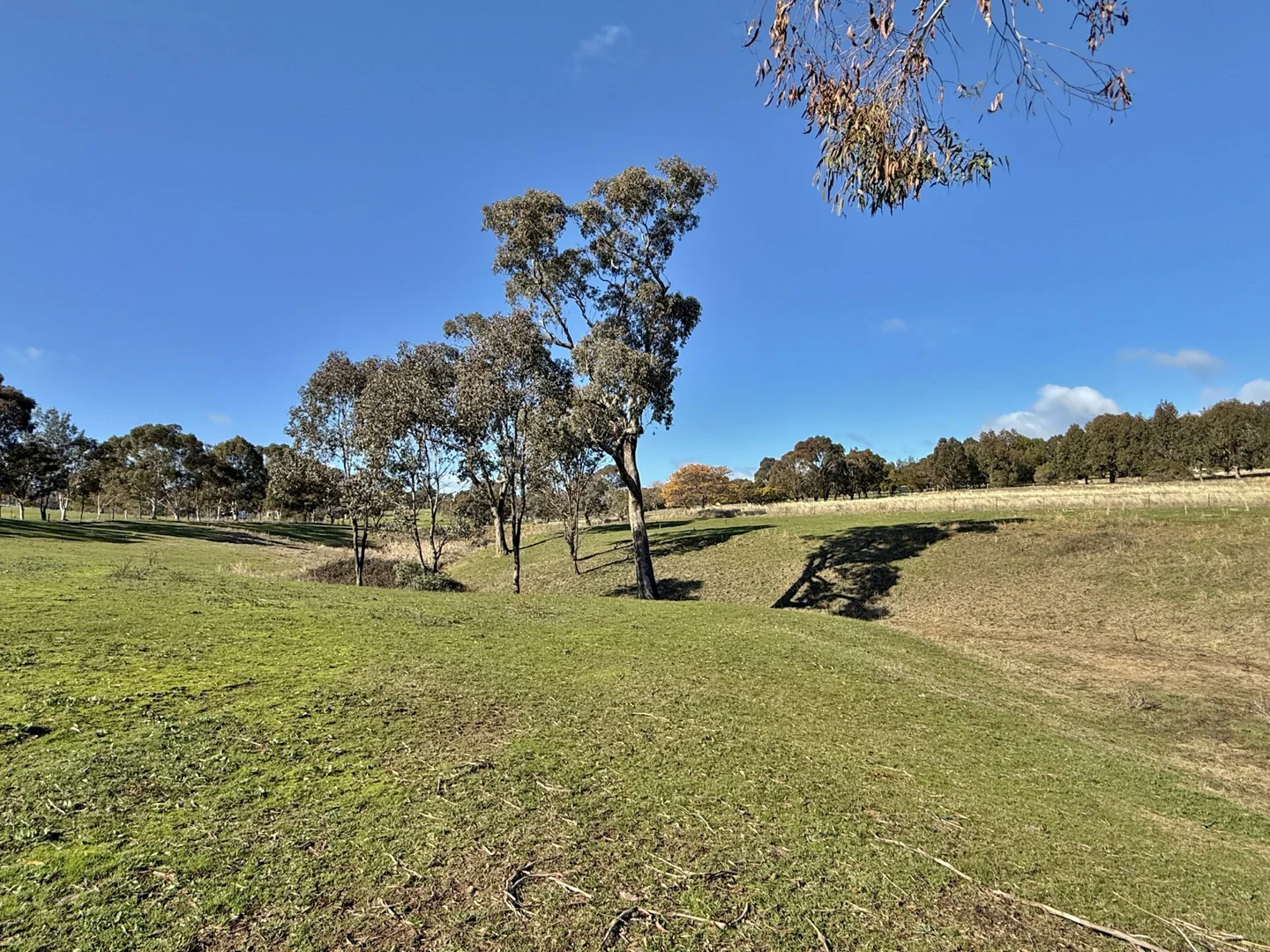 Additional image 4 of 77 Newton Road, Young NSW 2594