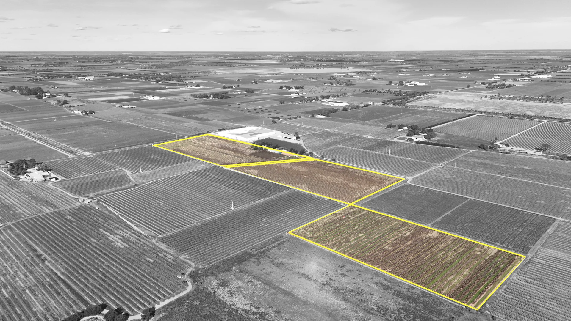 Additional image 5 of 419 North South Road, Woorinen North VIC 3589