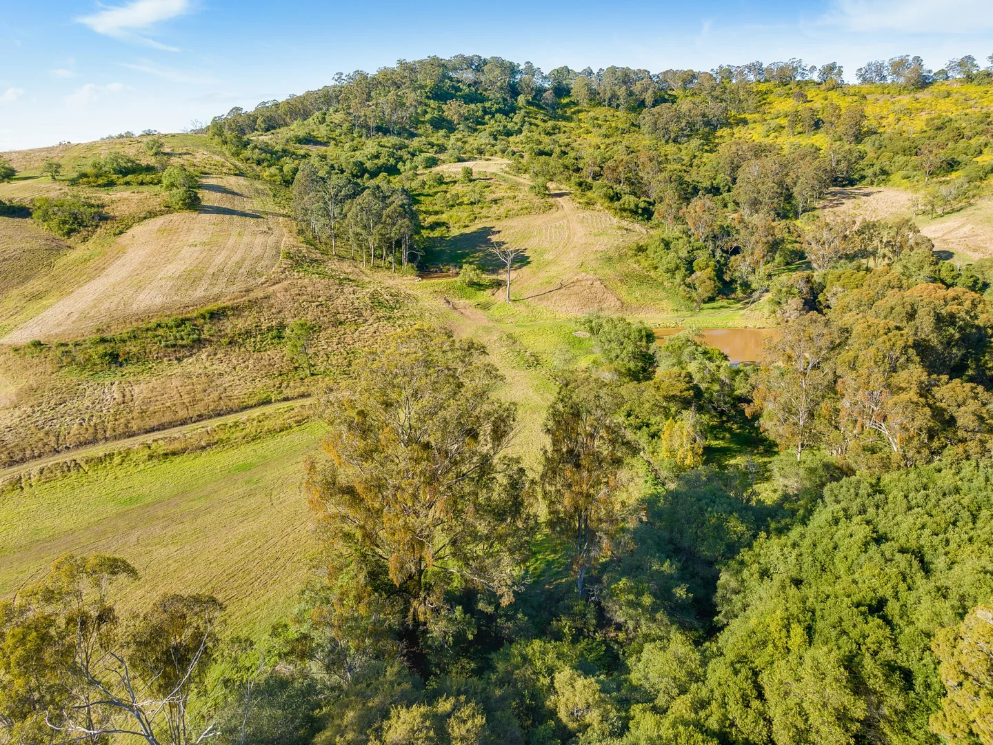 Additional image 8 of 145 Quirkes Lane, Menangle NSW 2568