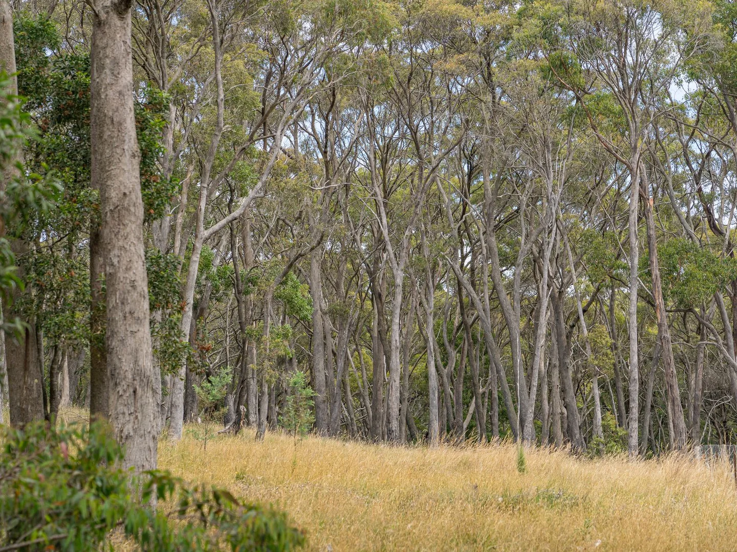 Additional image 3 of 50 Trounces Lane, Mount Egerton VIC 3352