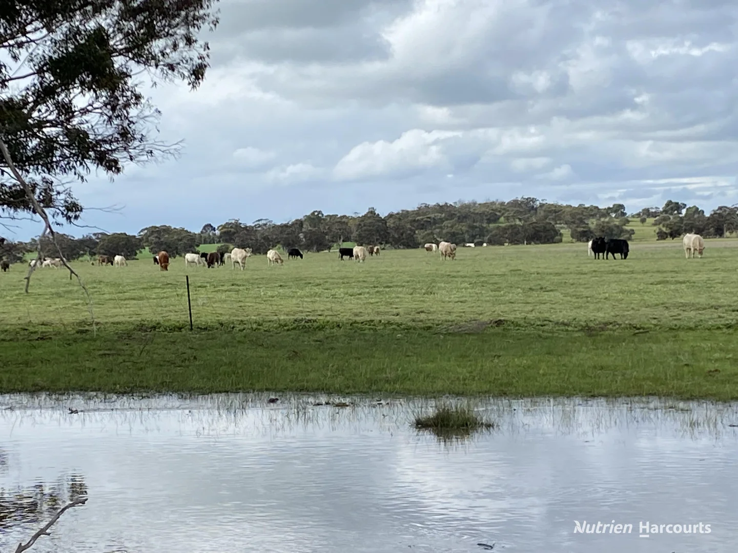 Additional image 7 of 401 York-Williams Road, Dale WA 6304