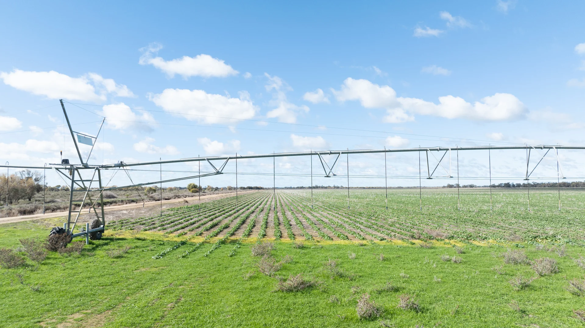 Additional image 8 of Smeatonvale Laterals Boree-Morago Rd, Deniliquin NSW 2710