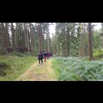 Additional image 5 of Room in a Shared Flat, Glasgow, G3, N1 7GU