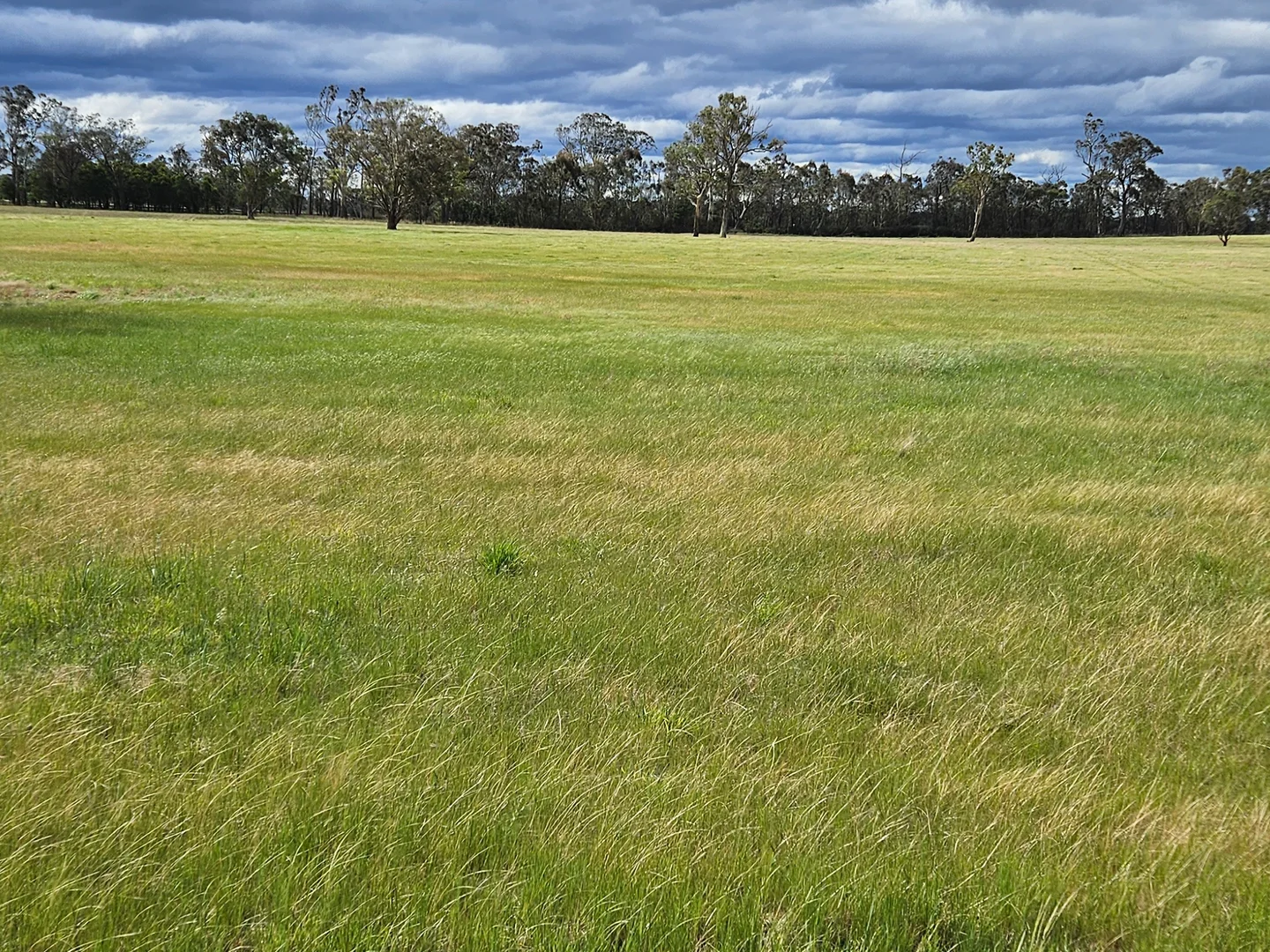 Additional image 17 of 31 Woodcote Ln, Munro VIC 3862