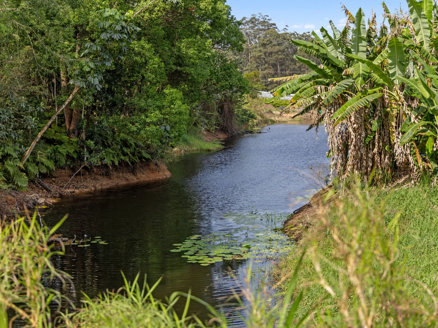 Additional image 17 of 43 Pringle Road, Rosemount QLD 4560