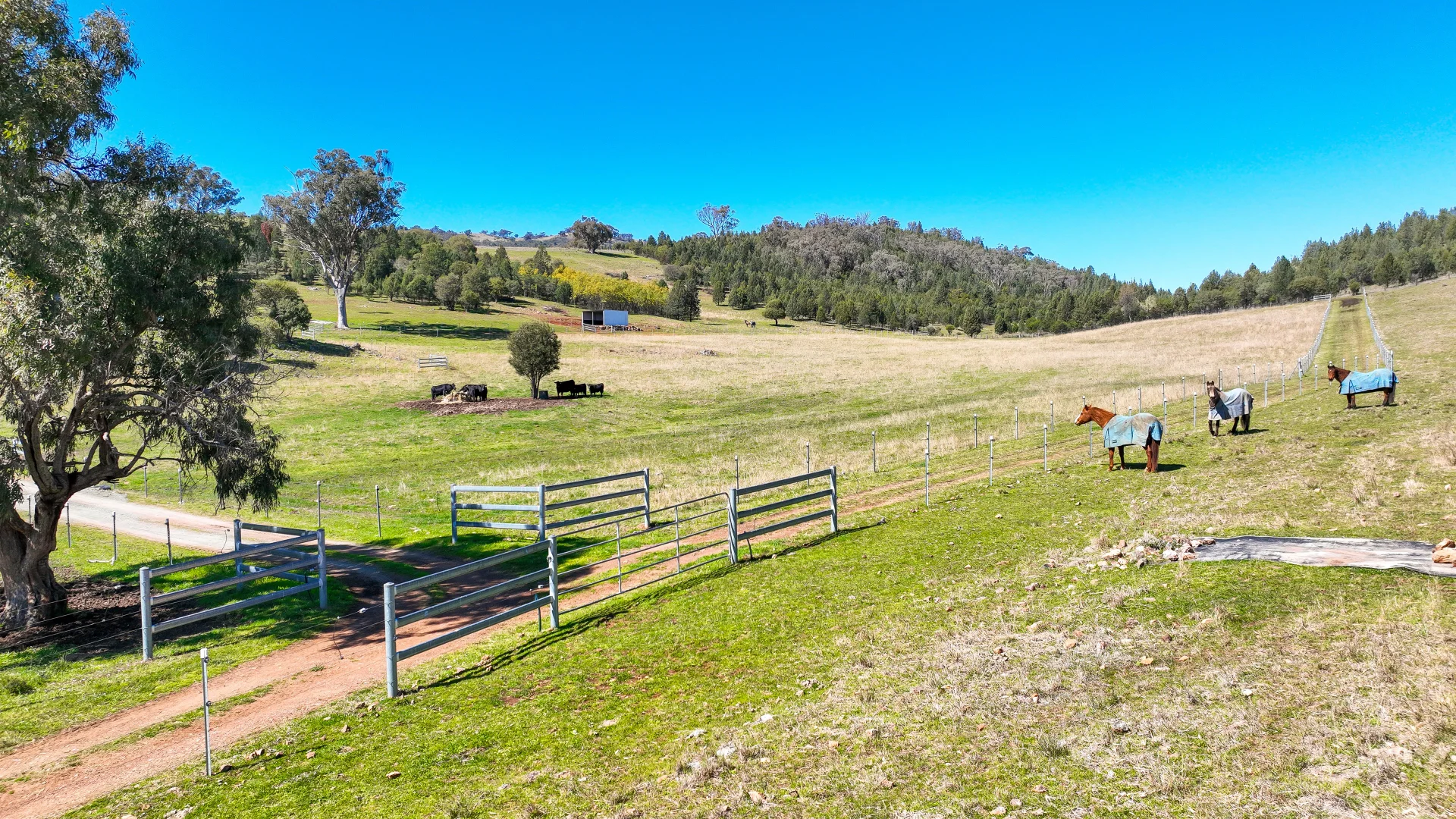 Additional image 6 of 150 Kilmarnock Road, Attunga NSW 2345
