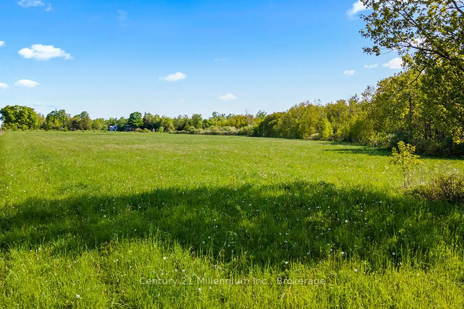 Additional image 8 of 375533 6Th Line