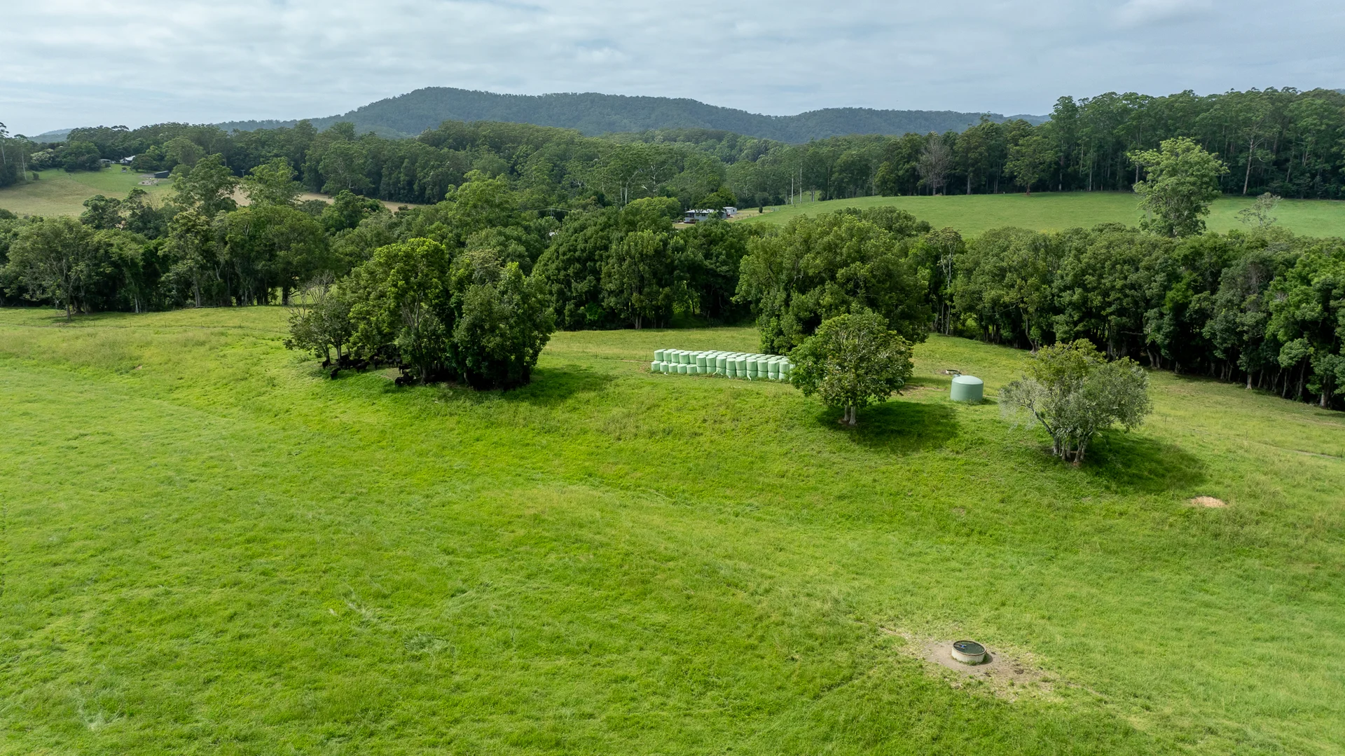 Additional image 23 of 300 Martells Road, Bellingen NSW 2454