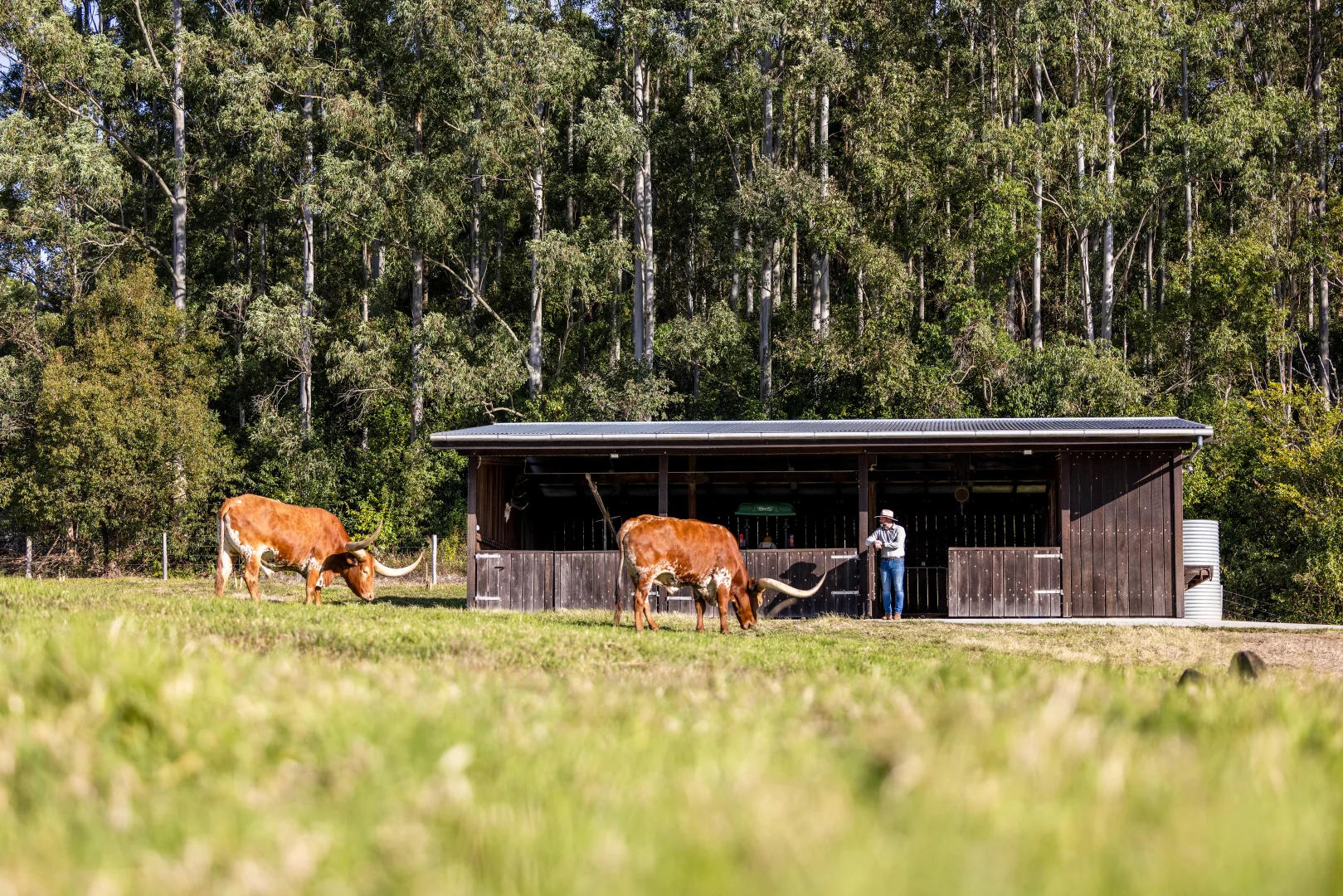 Additional image 28 of 55 Trail Road, Maleny QLD 4552