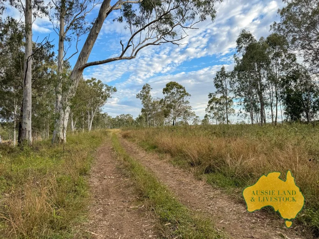 Additional image 51 of 8 SCREENING PLANT ROAD, Cynthia QLD 4627