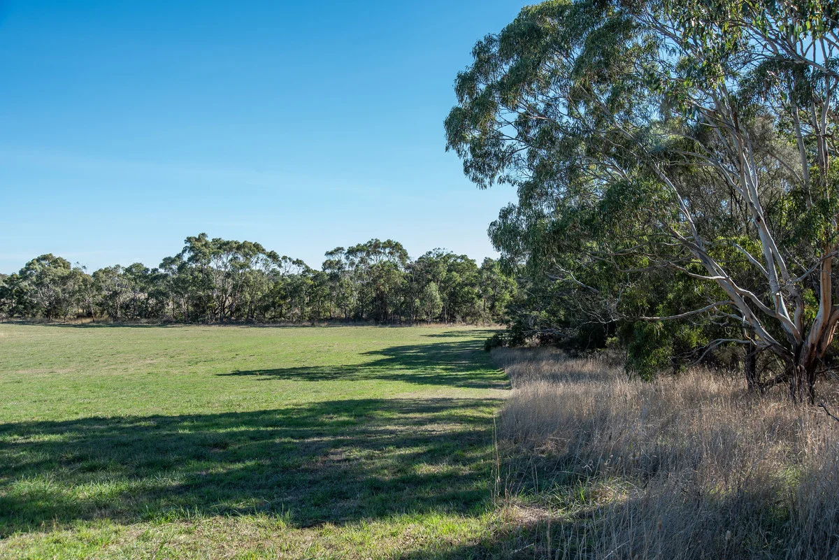 Additional image 3 of 52 Bonnie View, Bolwarra VIC 3305