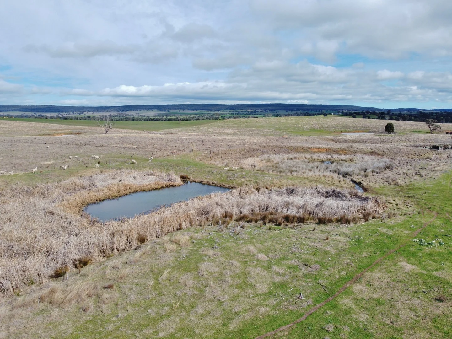 Additional image 6 of 127 Calabash Road, Murringo, via, Young NSW 2594