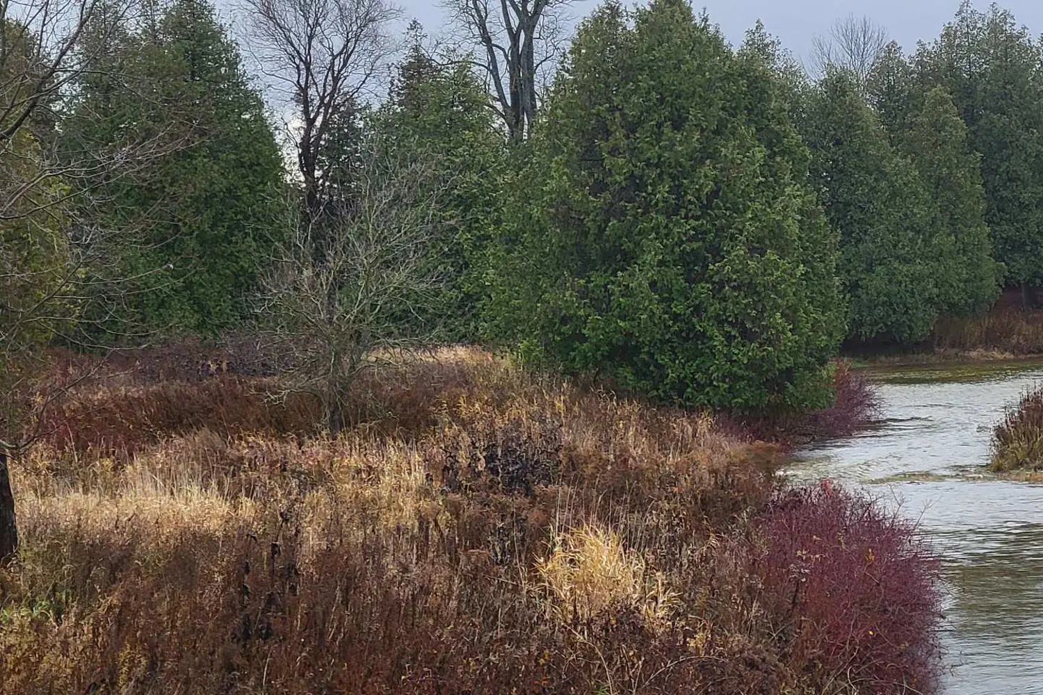 Additional image 6 of Lot 37 Con 2 Ndr