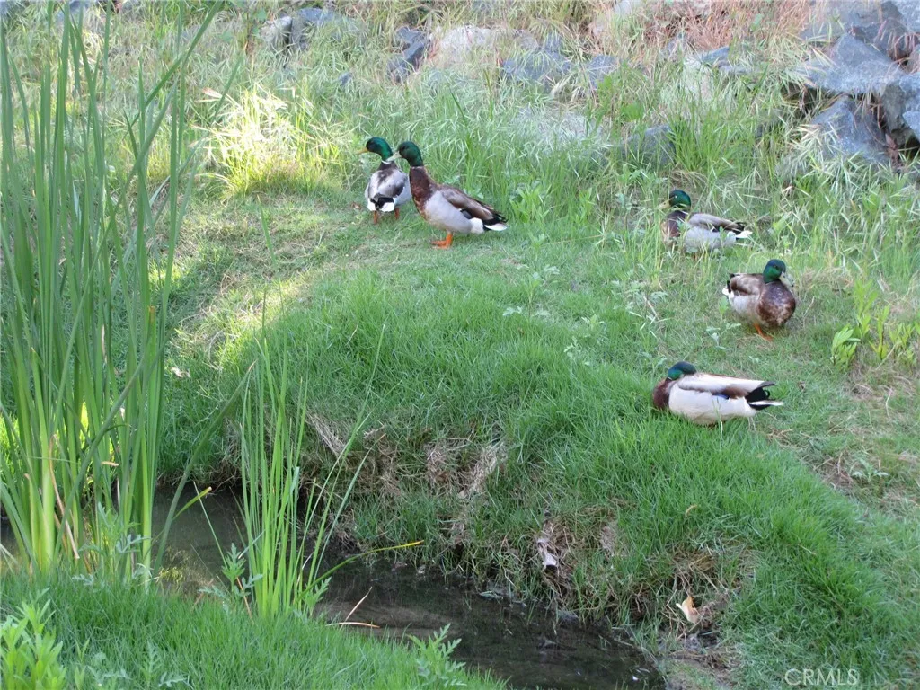 Additional image 31 of 859 Ronda Mendoza Unit D, Laguna Woods, CA 92637