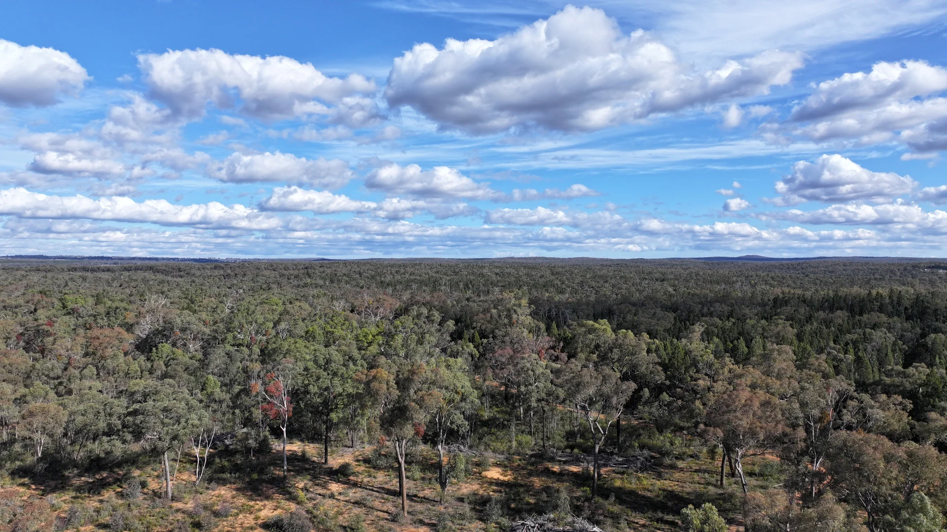 Additional image 15 of 97 Aquilla Ave, Dandry NSW 2357