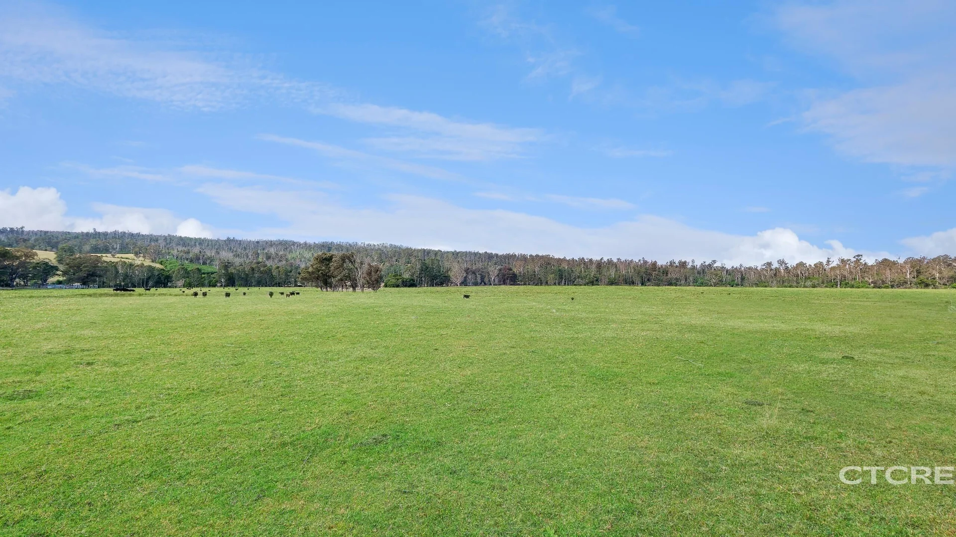 Additional image 12 of 1664 Wangarabell Road, Wangarabell VIC 3891