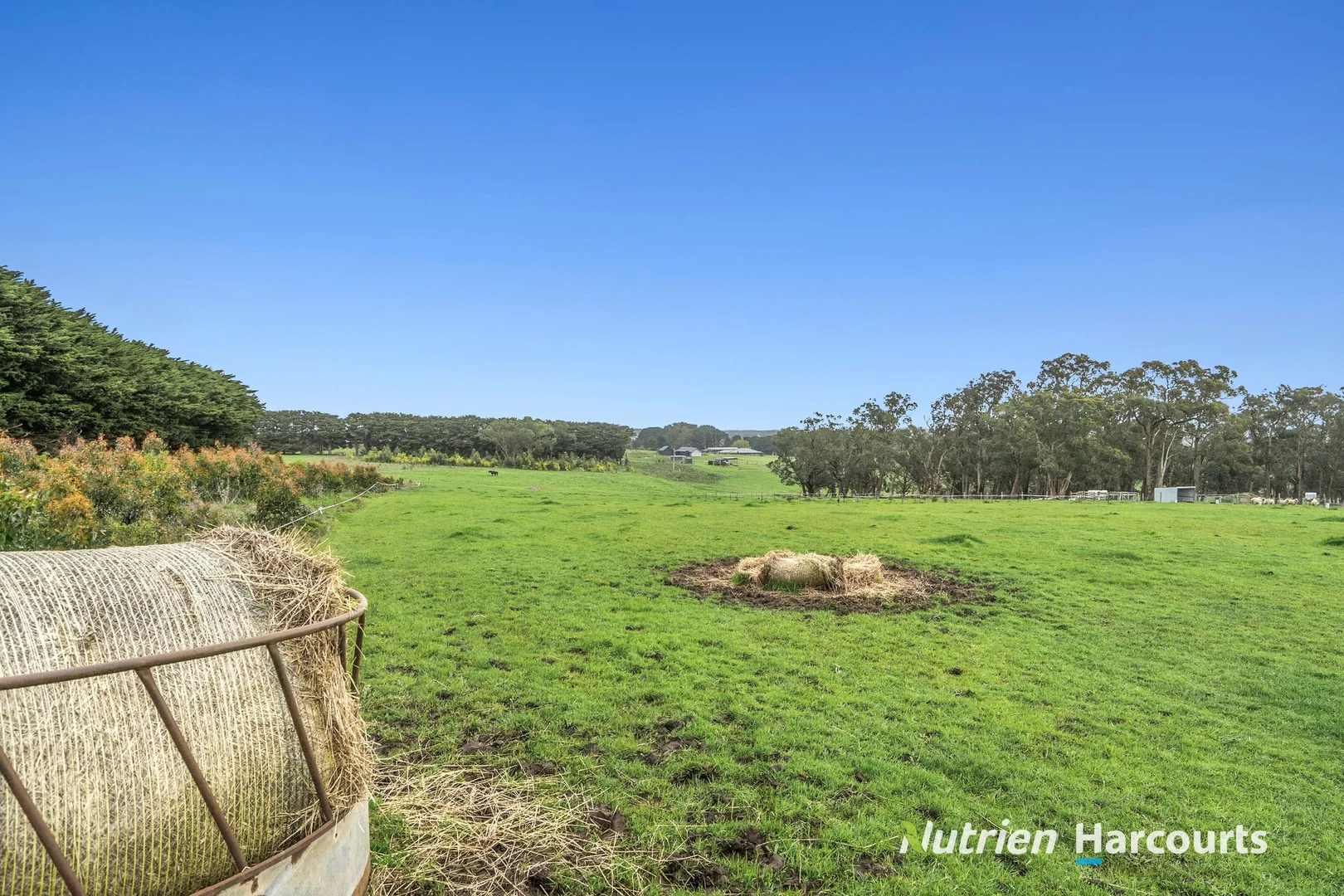 Additional image 5 of 141 Curdies River Road, Timboon VIC 3268