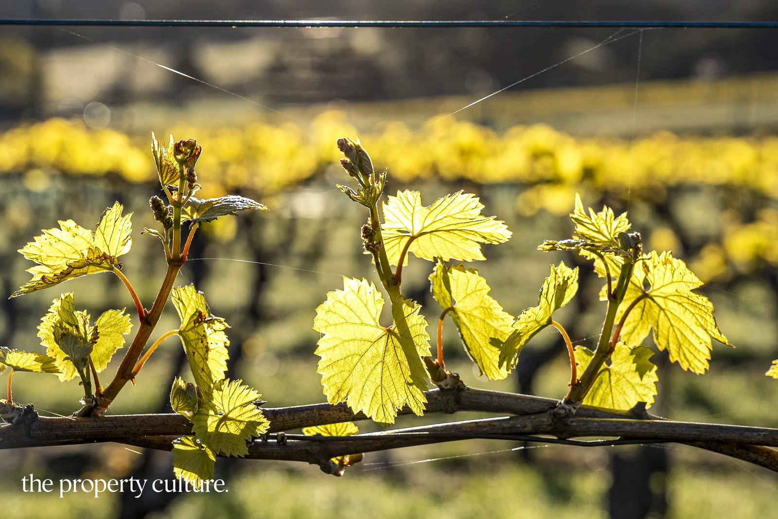 Additional image 24 of 42 Voss Rd, Glaziers Bay TAS 7109