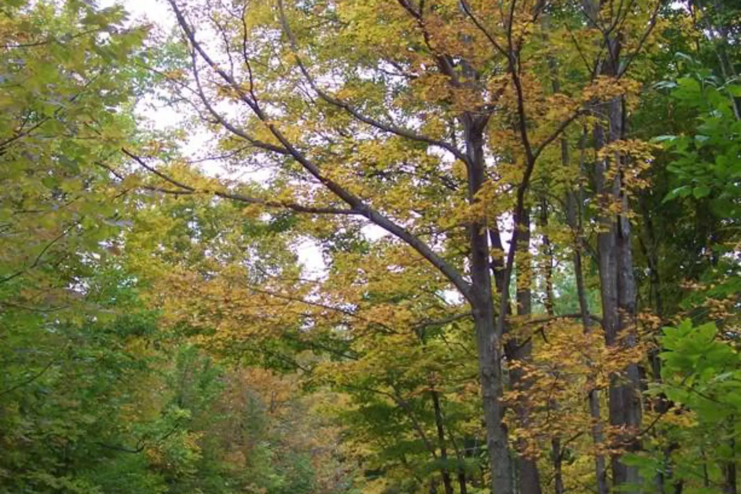 Additional image 4 of 0000 County 43 Road