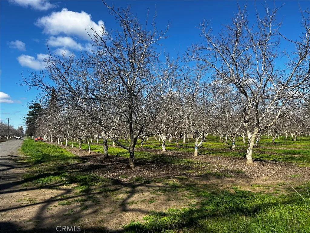 Additional image 6 of 3900 Stephens Road, Corning, CA 96021