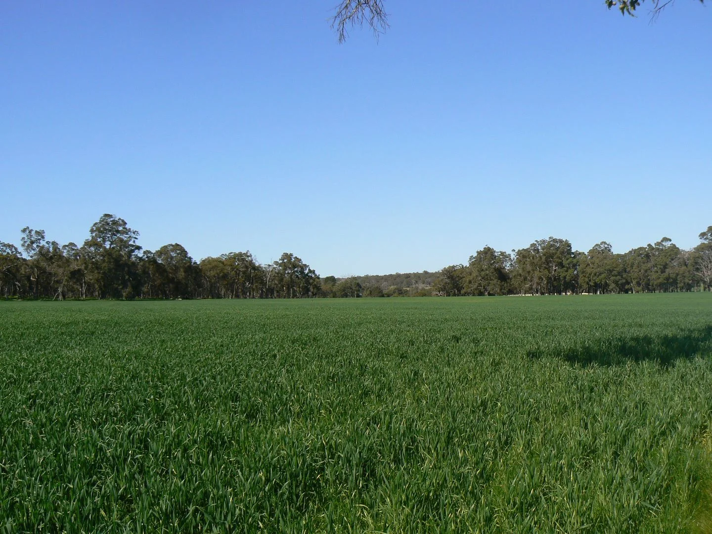 Additional image 4 of Lot/6 Six Mile Road, Mayanup WA 6244