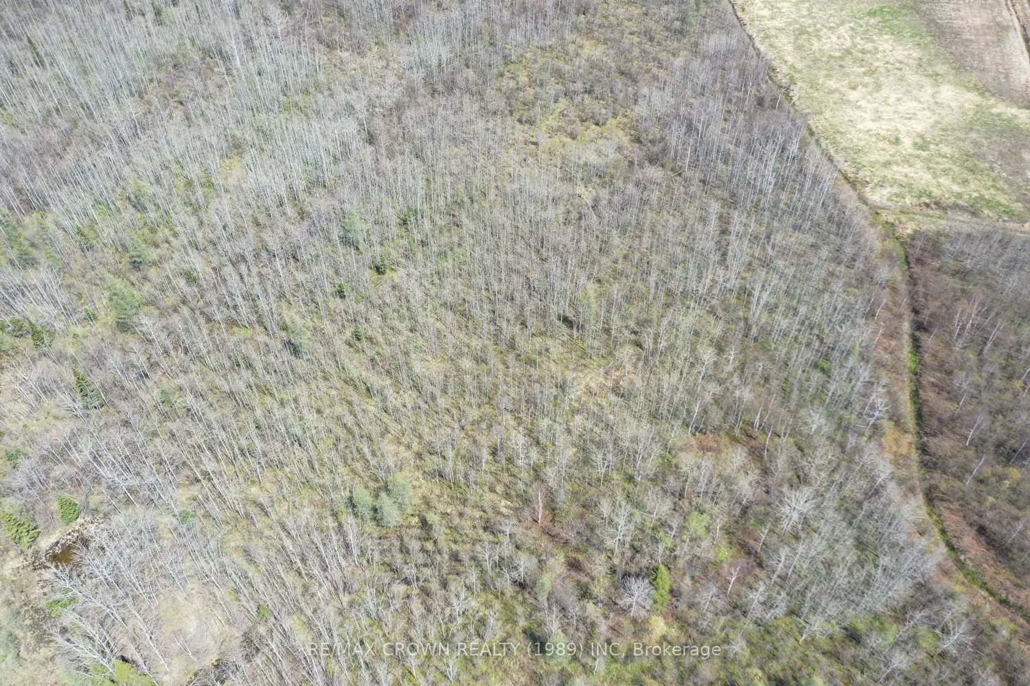 Additional image 14 of 69 Clear Lake North Road