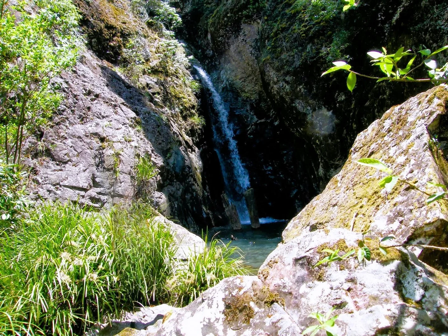 Additional image 24 of Bellangry NSW 2446