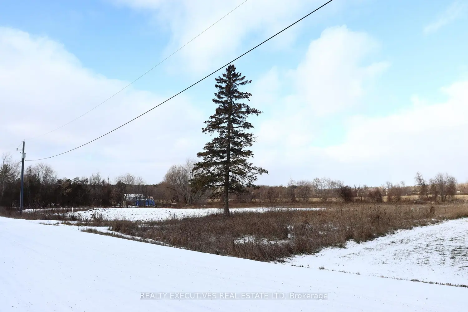 Additional image 5 of 10569 Loughlin Ridge Road