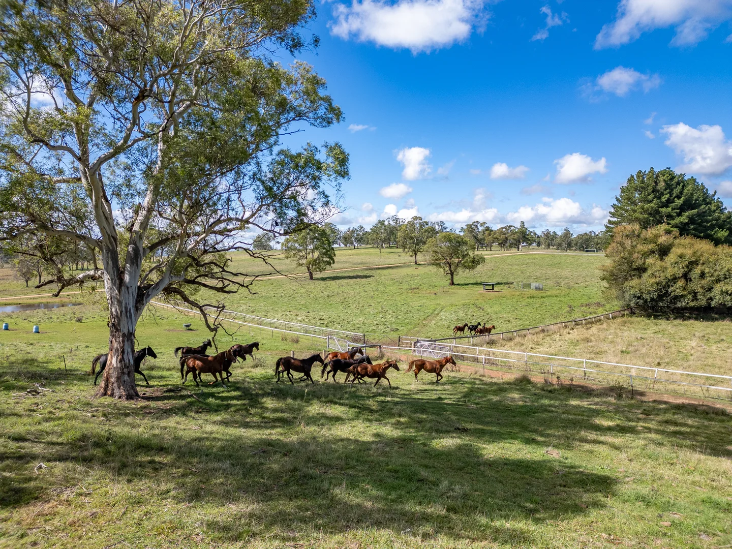 Additional image 10 of 543 Aberbaldie Road, Walcha NSW 2354