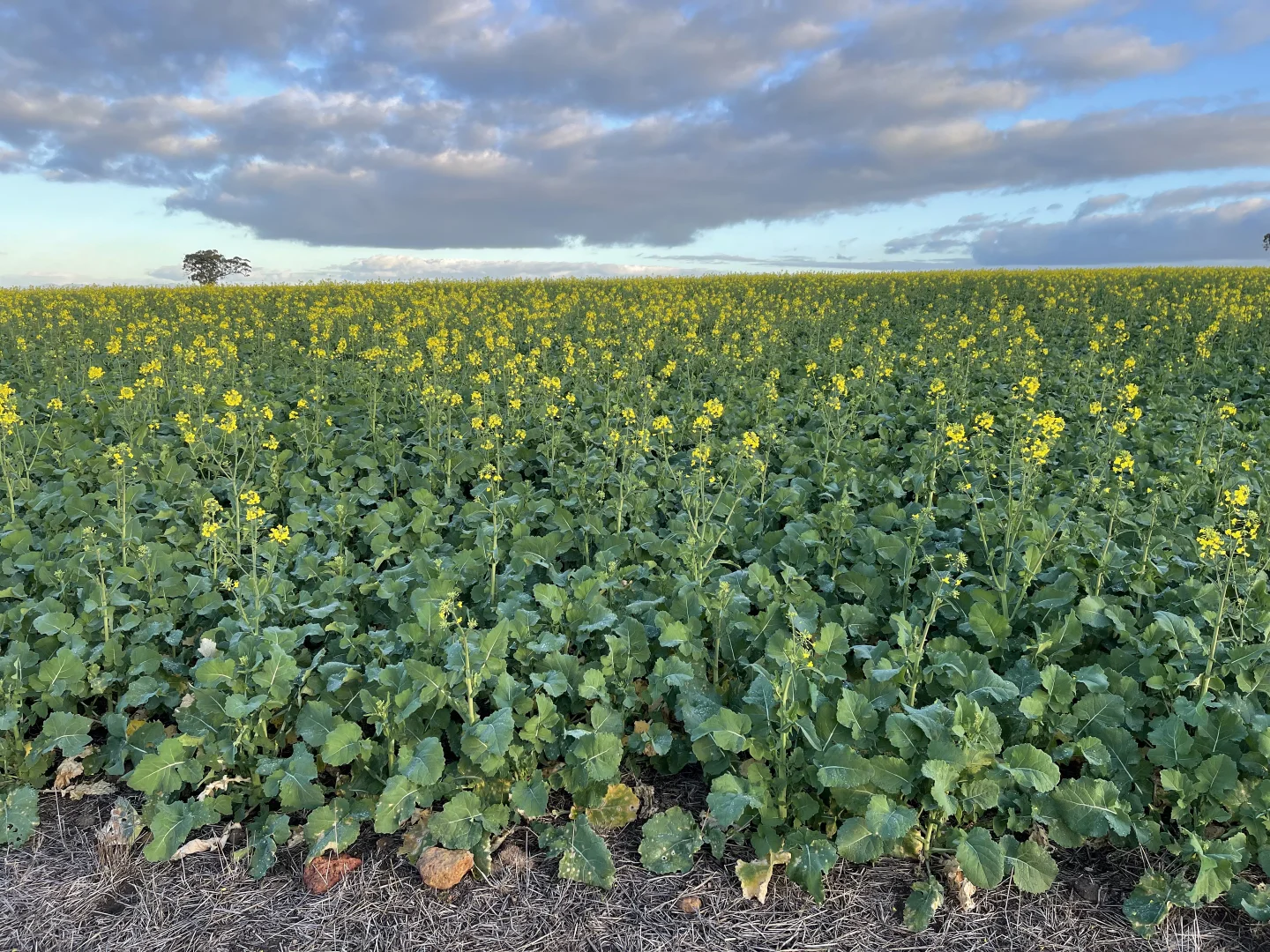 Additional image 15 of 39705 South Coast Highway, Green Range WA 6328