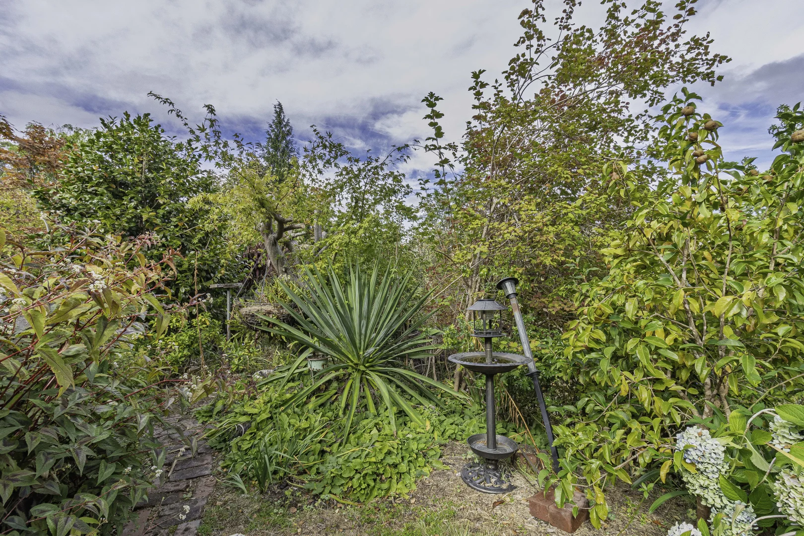 Additional image 24 of 242 Woolleys Road, Lonnavale TAS 7109