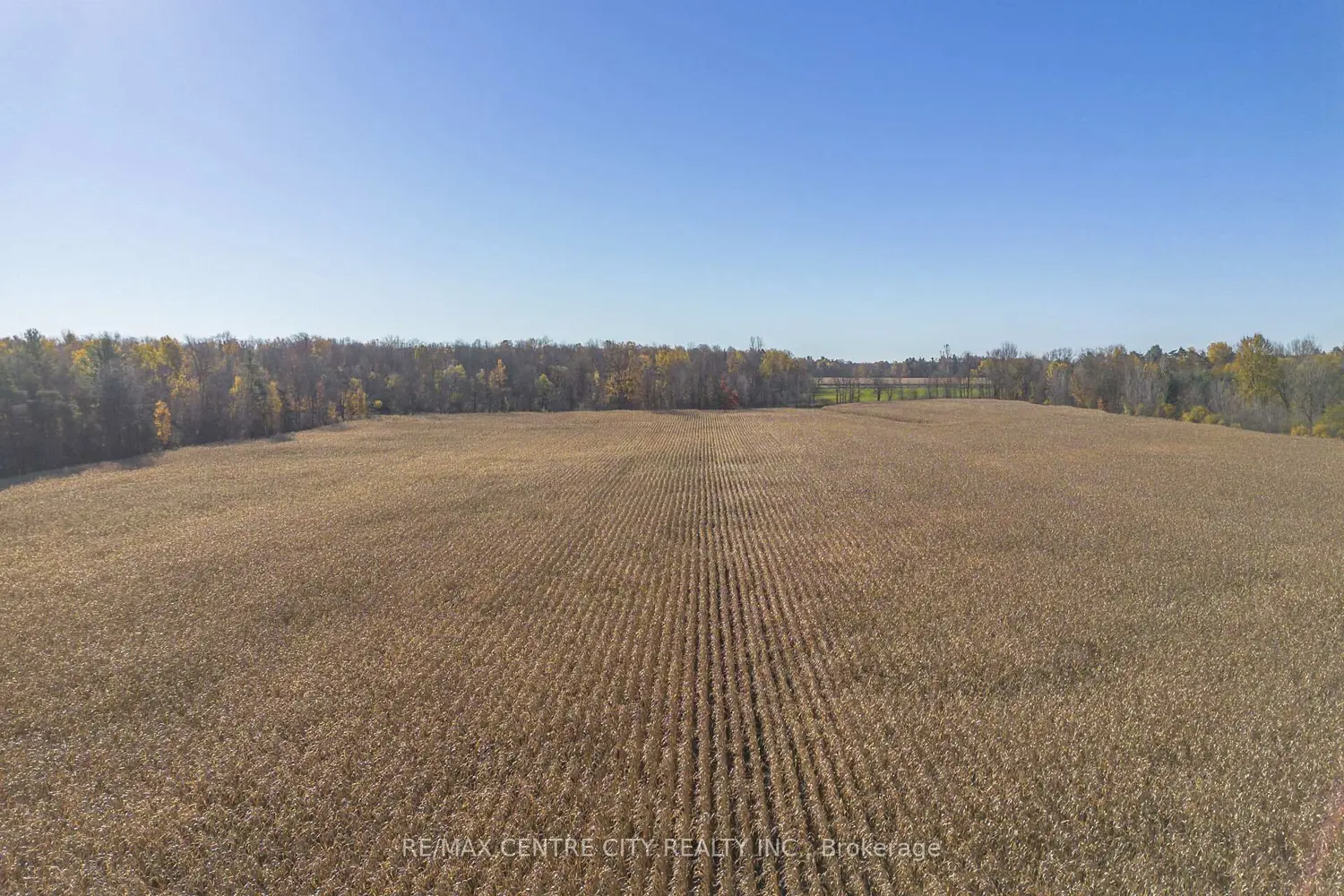 Additional image 8 of Pt Lt 140&141 Col Talbot Road