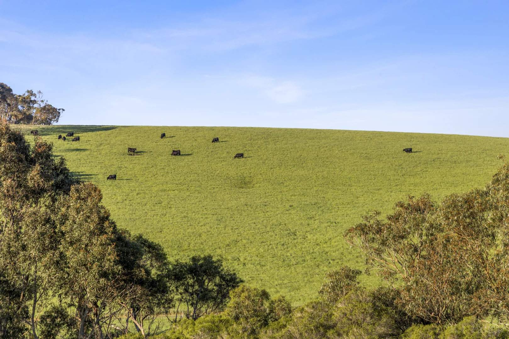 Additional image 20 of 2087-2089 Portarlington Road, Drysdale VIC 3222