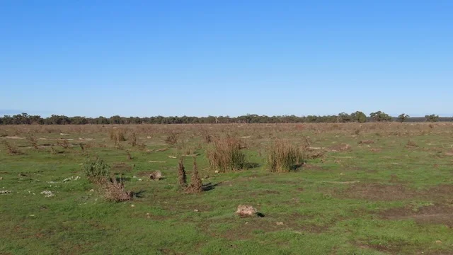 Additional image 4 of 225 Coles-Killanoola Road, Coles SA 5272