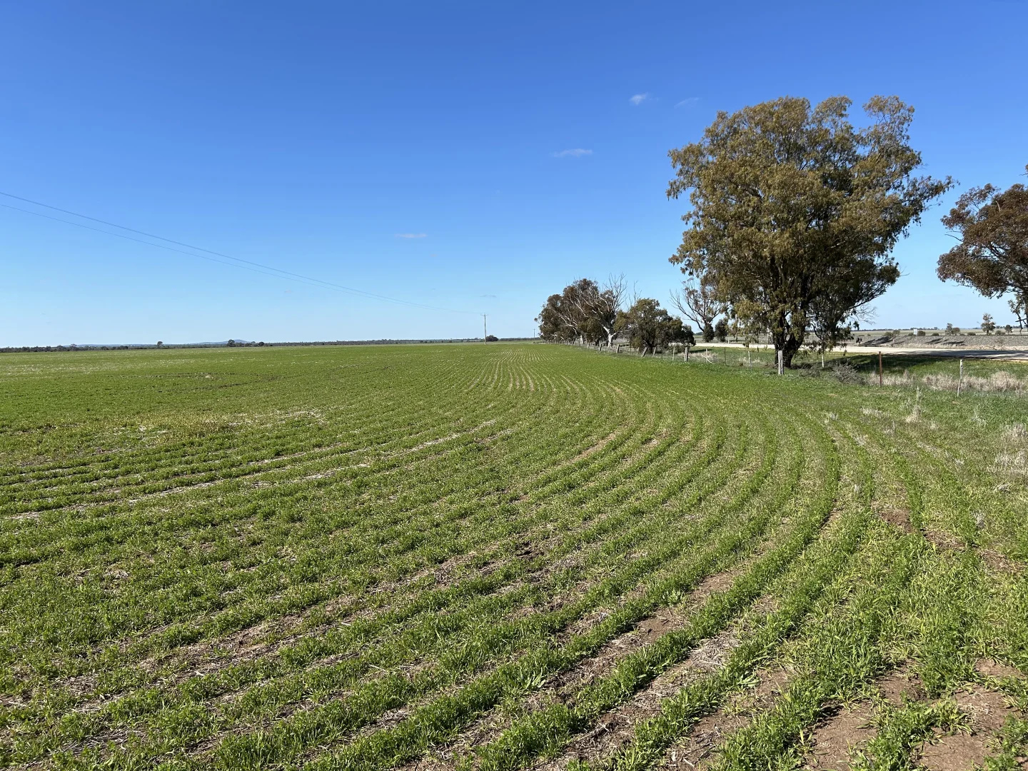 Additional image 4 of Single Tree Road, Donald VIC 3480