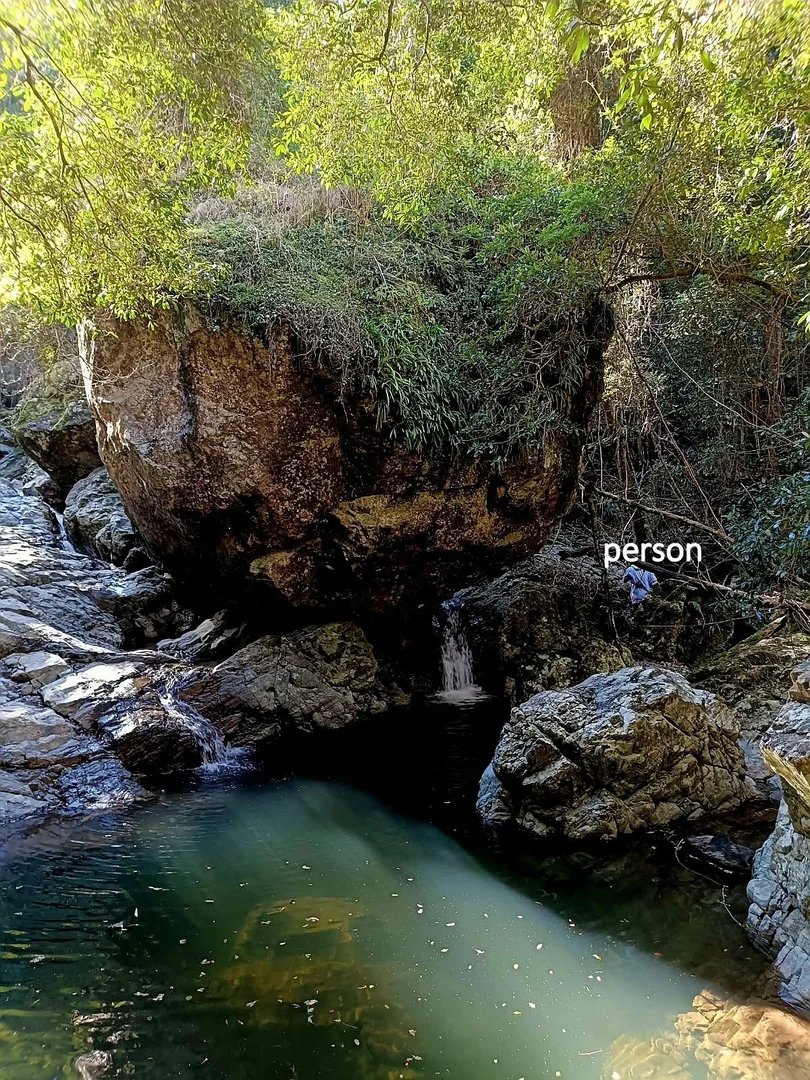 Additional image 32 of Bellangry NSW 2446