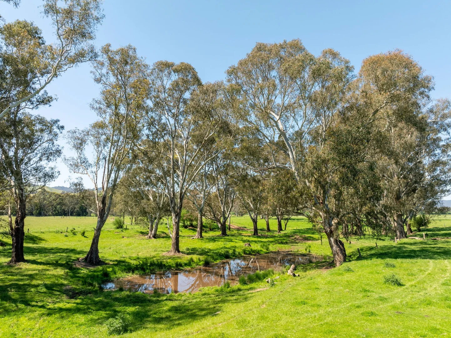 Additional image 16 of 1240 Goulburn Valley Highway, Thornton VIC 3712